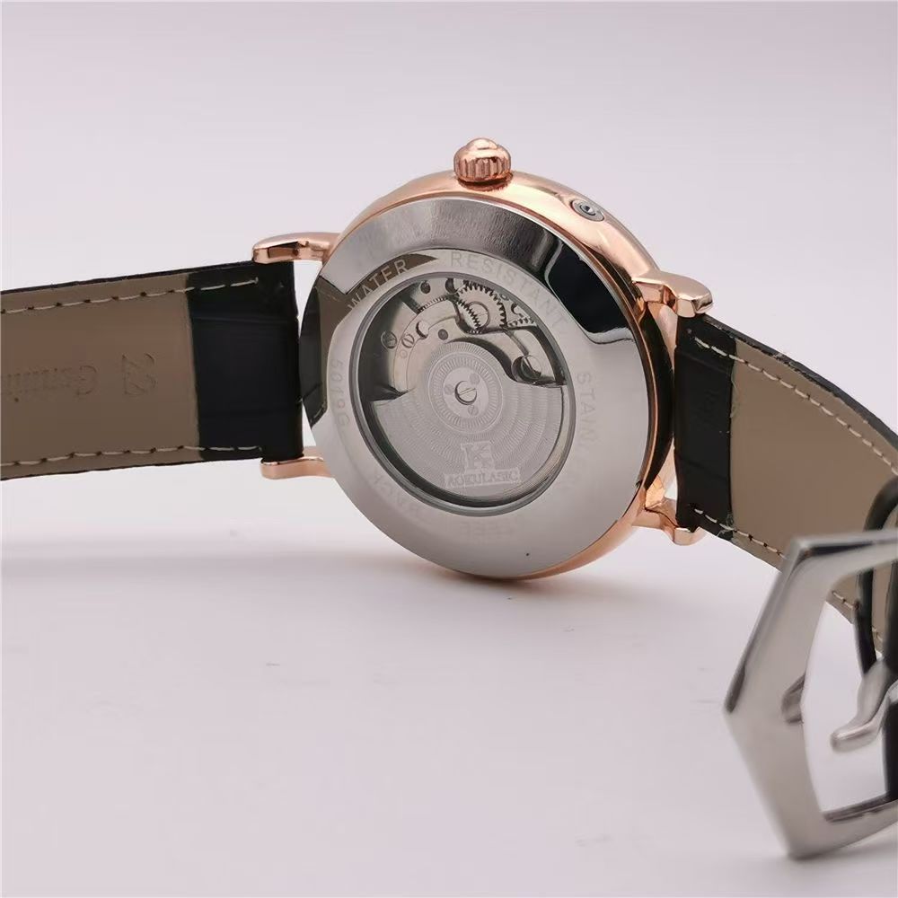 High-End Luxury Men's Mechanic - огляд і ціна Luxury Watch Name Brands